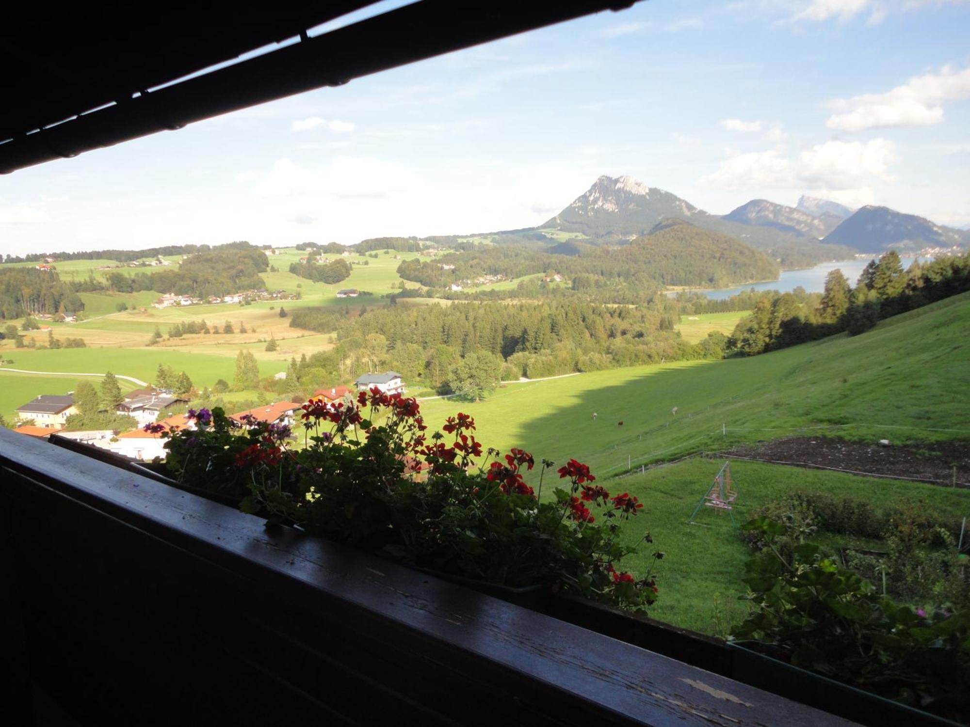Bauernhof Strumegg Hof bei Salzburg Bagian luar foto